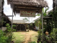 Coconut Palm Restaurant - Restaurants