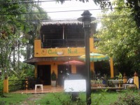 Cocoos Nest - Restaurants
