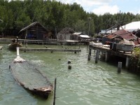 Mangrove Tour from Bang Pat - Attractions