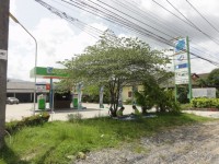 Bang Jak Petrol Station - Public Services