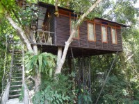 Khao Sok Tree House Resort - Accommodation