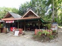 Thai Massage - Services