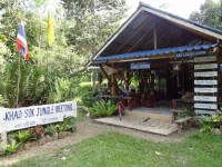 Jungle Meeting - Services