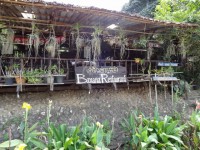 ครัวบานาน่่า - Restaurants