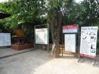 Numgern Thai Massage - Services