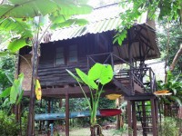 Khao Sok Valley Lodge Freeland - Accommodation