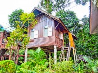 Tree Tops River Huts - Accommodation