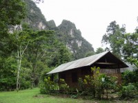 Our Jungle House - Accommodation