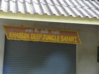 Deep Jungle Safari - Services