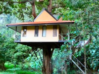 Tree Tops Jungle Safaris - Accommodation