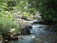 Hin Lat Waterfall - Attractions