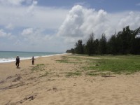 Mai Khao Beach - Attractions