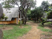 Cashew Nut Tree Bungalows - Accommodation