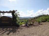 Phangnga View Point - Restaurants