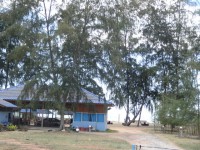 Chai Lae - Restaurants