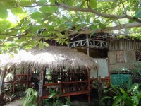 Leaf House Bungalow - Accommodation