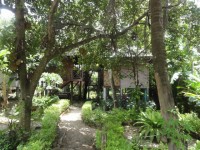 Fruit Tree Lodge - Accommodation