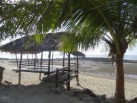 Laem Ya Seafood - Restaurants
