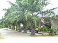 Mookda Resort - Accommodation