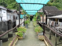 Na Koa Rim Lay Home Stay - Accommodation