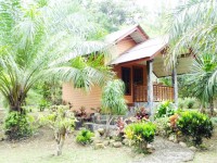Earths Camp - Accommodation