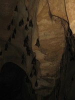 Tham Mai Kaeo (Diamond Cave) - Attractions