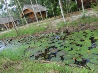 Nai Suan and Rattanamanee Resort - Accommodation