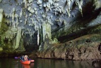Krabi Cave Man - Services
