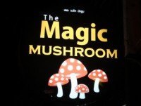 The Magic Mushroom - Entertainment