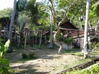 Baan Krating Phuket Resort - Accommodation