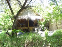 Forra Bamboo Resort - Accommodation