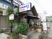 Nooty Bar - Entertainment