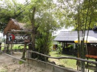 Apache Thai and Western Bar - Entertainment Apache Thai and Western Bar - Entertainment