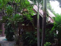 Baan Suan Guesthouse - Accommodation Baan Suan Guesthouse - Accommodation