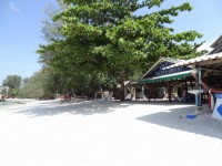 Family Restaurant - Restaurants