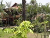 House of Palms - Restaurants