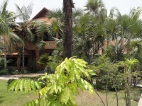 House of Palms - Restaurants