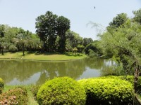 Tweechol Botanical Garden - Services