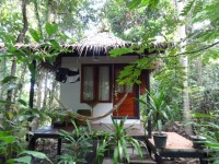 Jacks Jungle Bungalows - Accommodation