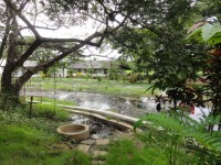 Doi Saket Hot Springs - Attractions