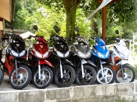 Motorbike for Rent 2 - Services