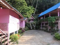 Phu Chi Fa Dok Siao - Accommodation