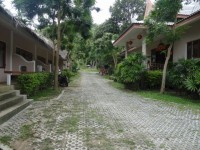 Yellow Bird - Accommodation