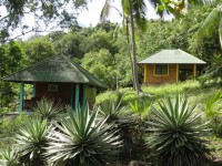 พะงัน เนเจอร์ รีสอร์ท - Accommodation
