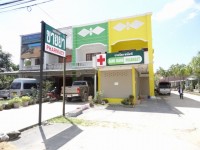 Bang Niang Pharmacy - Shops