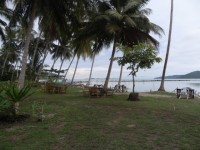 The Beach Restaurant - Restaurants