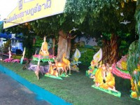 Chak Phra Festival (Thod Pha Pa) - Attractions