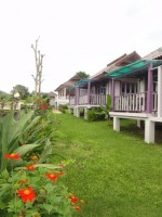 Mae Klang Banyen Hill - Accommodation