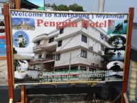 Penguin Hotel - Accommodation Penguin Hotel - Accommodation
