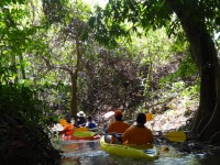 t Tour 3 in 1 Kayaking - Attractions